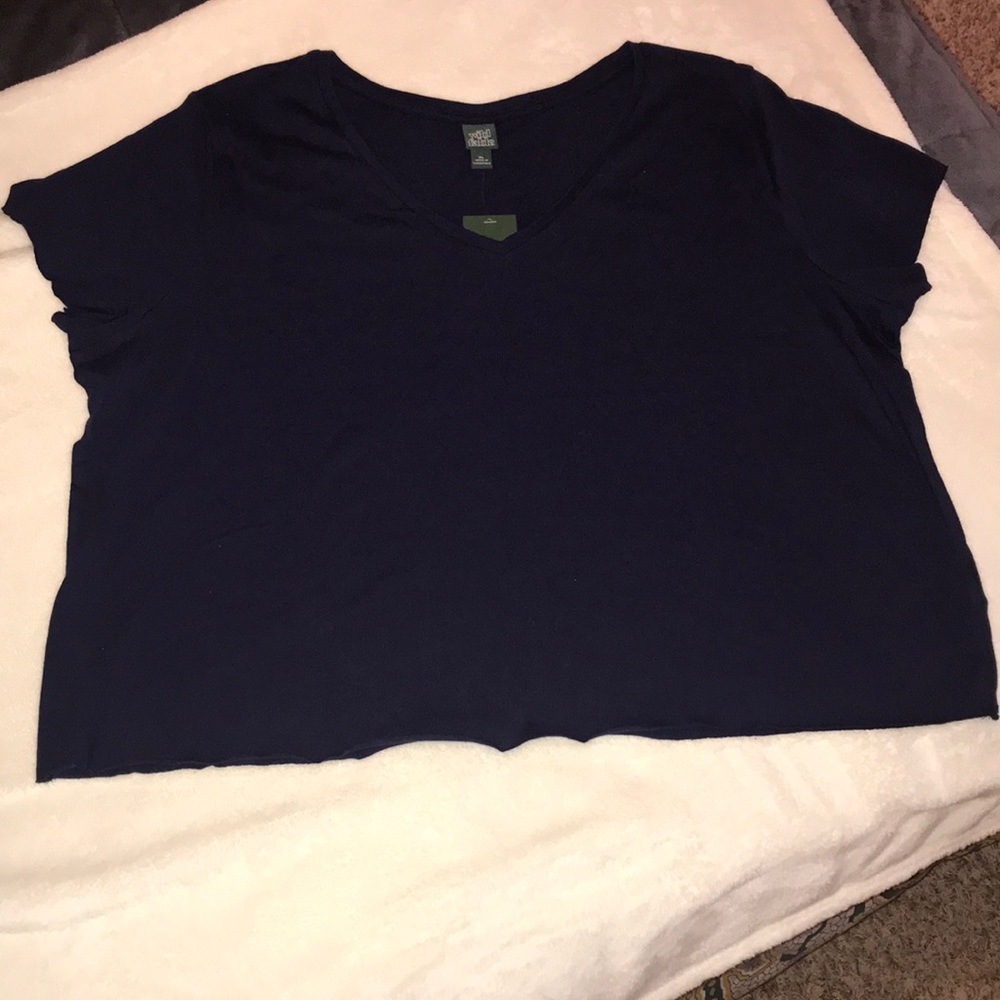 Wild Fable Cropped V-Neck